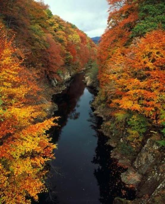 Riverside Lodge In Killiecrankie Bridge of Tilt Eksteriør billede